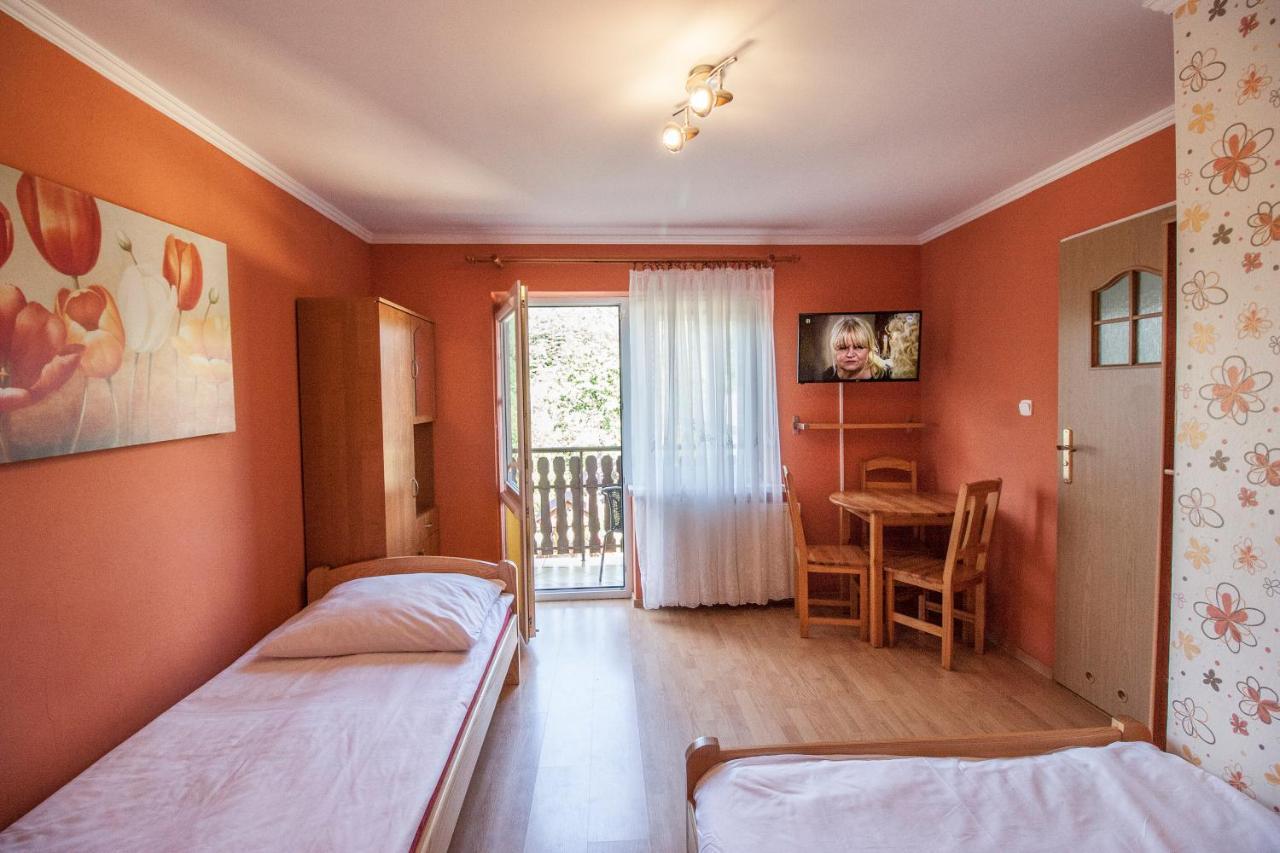 Bieszczadzkie Wzgorze Apartment Myczkow ภายนอก รูปภาพ