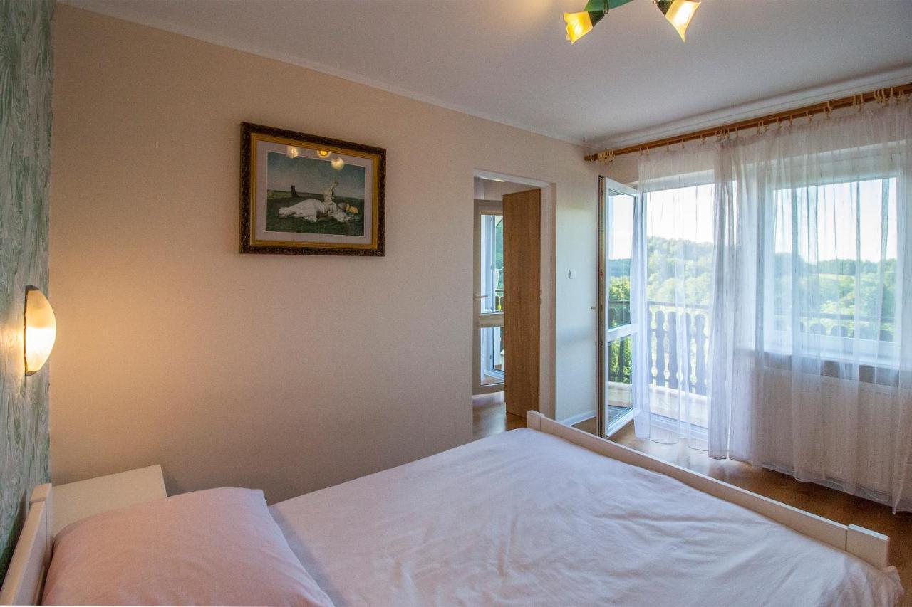 Bieszczadzkie Wzgorze Apartment Myczkow ภายนอก รูปภาพ