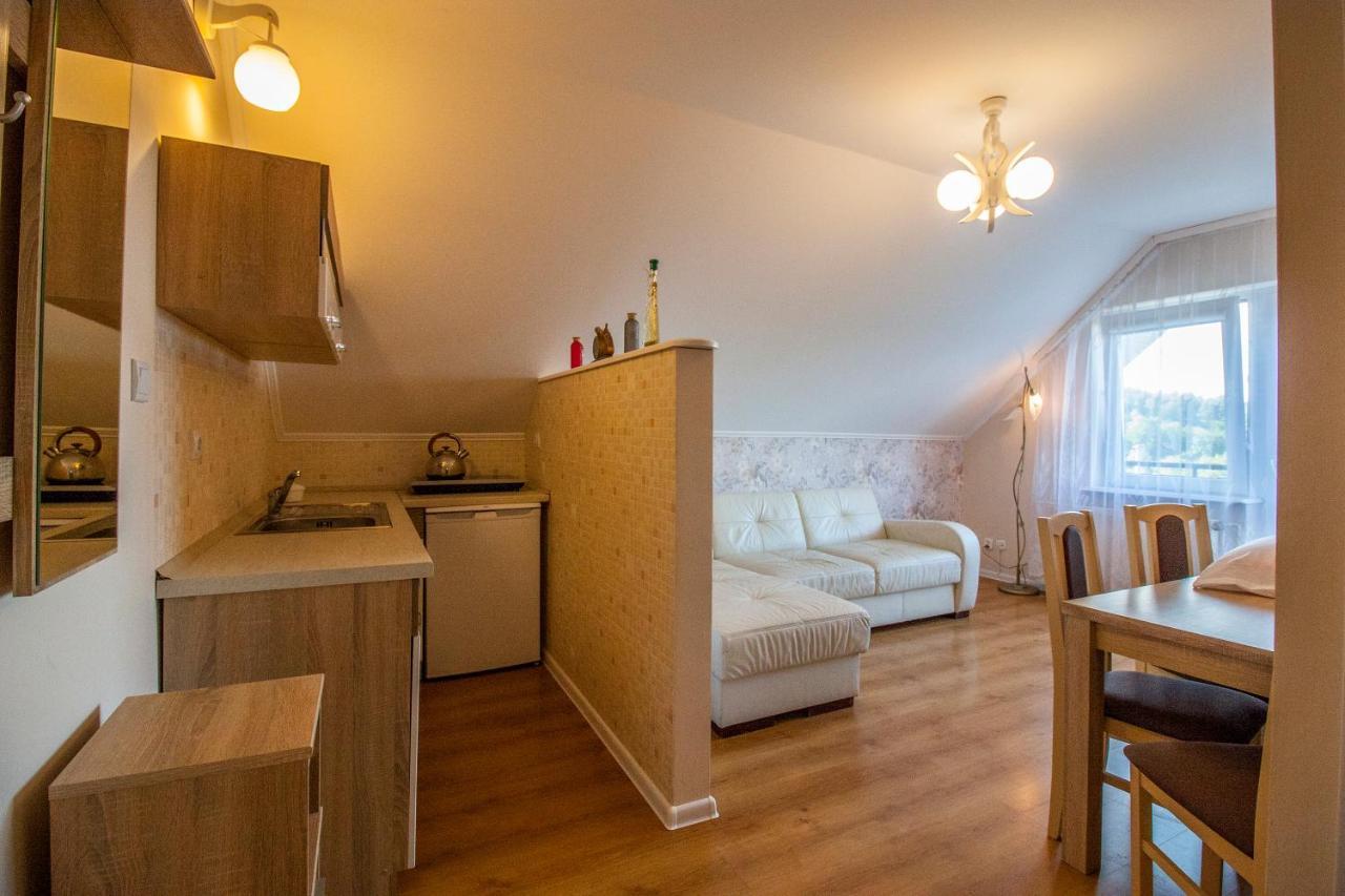 Bieszczadzkie Wzgorze Apartment Myczkow ภายนอก รูปภาพ