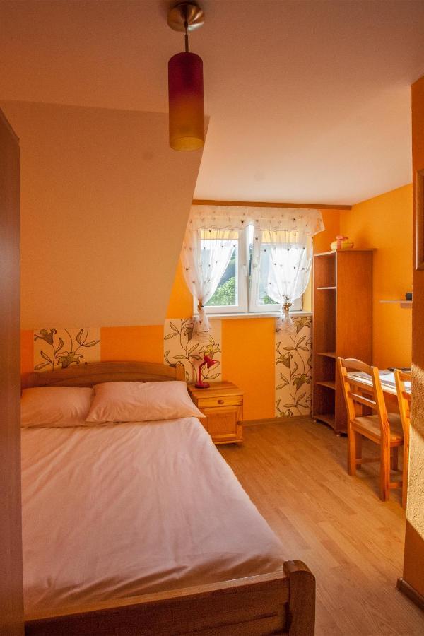 Bieszczadzkie Wzgorze Apartment Myczkow ภายนอก รูปภาพ